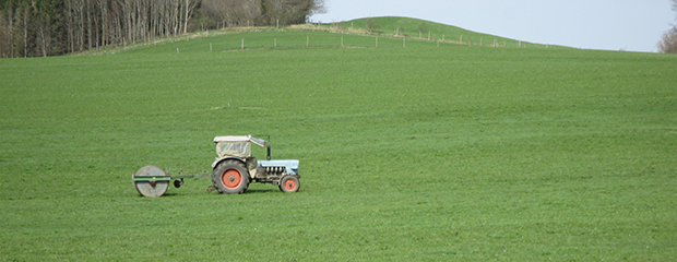 Traktor mit Walze auf Grünlandfläche