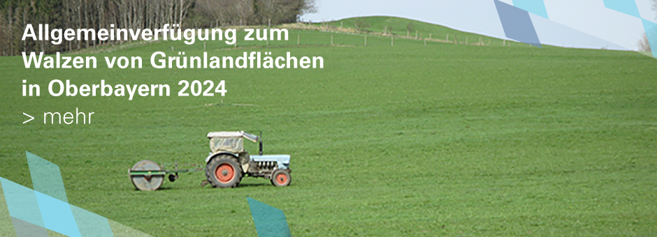 Allgemeinverfügung zum Walzen von Grünlandflächen in Oberbayern 2024 > mehr (Link auf Seite unter Service/Landwirtschaft)